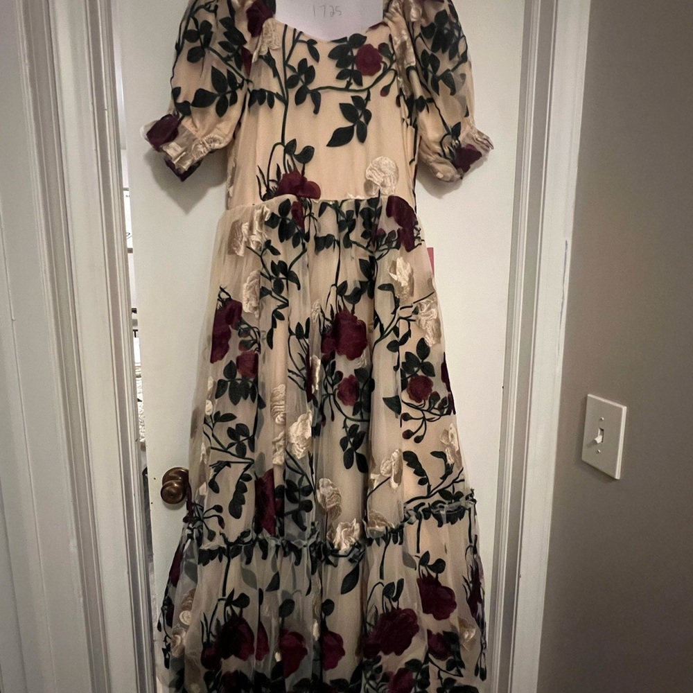 NWT AMORA dress